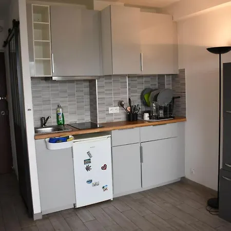 Διαμέρισμα Super T1 En Hypercentre Proche De Toutes Commodites Τουλούζη
